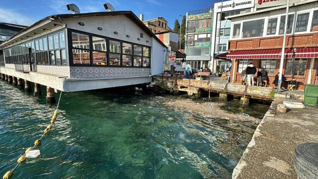 İstanbul'un o ilçesinde mide bulandıran görüntü! Bunu yapan insan olamaz... 3